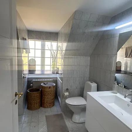 Penthouse Doublex W Water View København